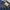Stussy Streetwear Jeans Pria navy photo 3