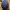 Carhartt Vintage Streetwear Hat Pria blue photo 5
