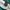 Shein Vintage Y2K Crop top Wanita green photo 2
