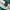 Shein Vintage Y2K Crop Top Wanita Green
