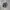 Salomon Biker Sneakers Pria White Black
