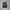 Salomon Biker Sneakers Pria white black photo 5