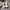 Nike Casual Sneakers Pria white photo 3