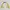 Asics Streetwear Sportswear Track jacket Pria white yellow photo 1