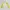 Asics Streetwear Sportswear Track jacket Pria white yellow photo 5