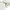 ZARA Casual Polo shirt Pria white cream photo 4