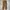 Dickies Vintage Y2K Jeans Pria brown photo 2