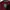 Streetwear Sportswear T-shirt Pria white red photo 3