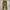 Dickies Vintage Y2K Jeans Pria brown photo 2