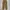 Dickies Vintage Y2K Jeans Pria brown photo 2