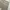 Carhartt Vintage Y2K Short Pria tan photo 1