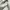 Polo Ralph Lauren Casual Formal shirt Pria white green photo 5