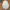 Nike Vintage Streetwear Hat Pria cream photo 5
