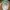 Nike Vintage Streetwear Hat Pria cream photo 6