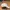 Nike Vintage Streetwear Hat Pria Cream