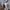 Nike Streetwear Sportswear Hoody Pria silver gray photo 5