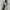 Vintage Pria silver black photo 5