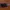 Calvin Klein Vintage Sunglass Wanita burgundy pink photo 4