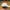 Nike Vintage Streetwear Hat Pria white photo 2