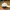 Nike Vintage Streetwear Hat Pria White