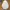 Nike Vintage Streetwear Hat Pria white photo 5