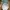 Nike Vintage Streetwear Hat Pria white photo 6