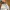 Nike Vintage Streetwear Hat Pria white photo 8
