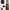 Japanese brand Vintage Y2K Skirt Wanita tan brown photo 4