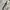 Alba Roza Vintage Wanita brown gray photo 1