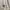 Nike Vintage Streetwear Hoody Pria white photo 3