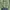 Y2K Minimalist Blazer Wanita green photo 1