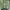 Y2K Minimalist Blazer Wanita Green