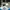 Adidas Vintage Sneakers Pria white black photo 3