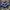 Nike Streetwear Puffer jacket Pria white blue photo 3