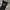 Uniqlo Streetwear Casual Casual pants Pria navy photo 4