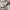 Nike Air Jordan Casual Pria white red photo 4