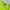 Y-3 Sportswear Casual Sweater Pria green photo 3