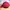 Supreme Streetwear Avant Garde Hat Pria red photo 4