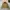 Vintage Streetwear Bomber jacket Pria brown photo 2