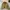 Vintage Streetwear Bomber jacket Pria brown photo 4