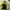 Streetwear Sportswear Windbreaker Pria blue yellow photo 3