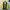 Streetwear Sportswear Windbreaker Pria blue yellow photo 4