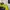 Streetwear Sportswear Windbreaker Pria Blue Yellow