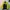 Streetwear Sportswear Windbreaker Pria blue yellow photo 2