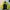 Streetwear Sportswear Windbreaker Pria Blue Yellow