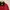 Biker Sportswear Windbreaker Pria Red