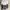 Dior Avant Garde Futurist Casual shirt Pria multicolor white photo 5