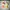 Hello Kitty Vintage Lolita Toy Kids white red photo 1