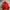 Patagonia Sportswear Casual Track jacket Pria orange photo 1