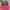 Nike Vintage Streetwear Hat Pria red black photo 1